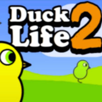 Duck Life 2 cover image